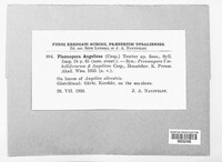 Image Associated With the Occurence